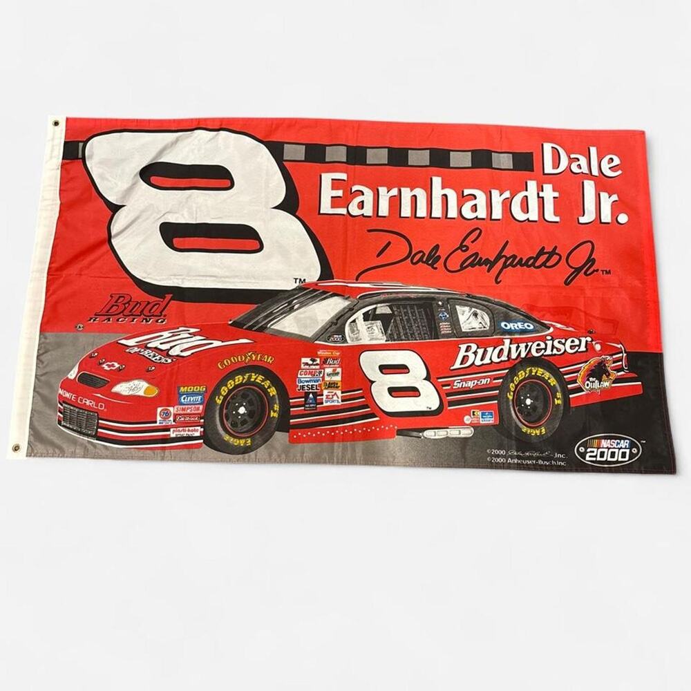 Vintage 2000 dale earnhardt jr flag
